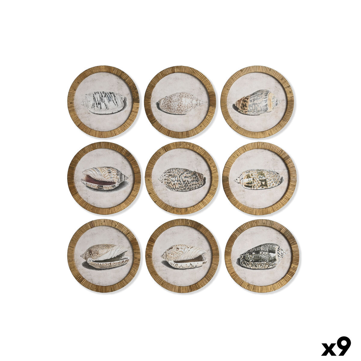 Painting Home ESPRIT Natural Mediterranean Snail 30 x 2 x 30 cm (9Units)