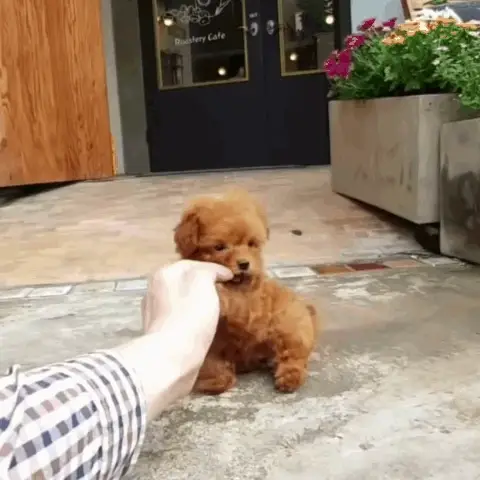 541b70d5e652d790a65e5d59ade105dd