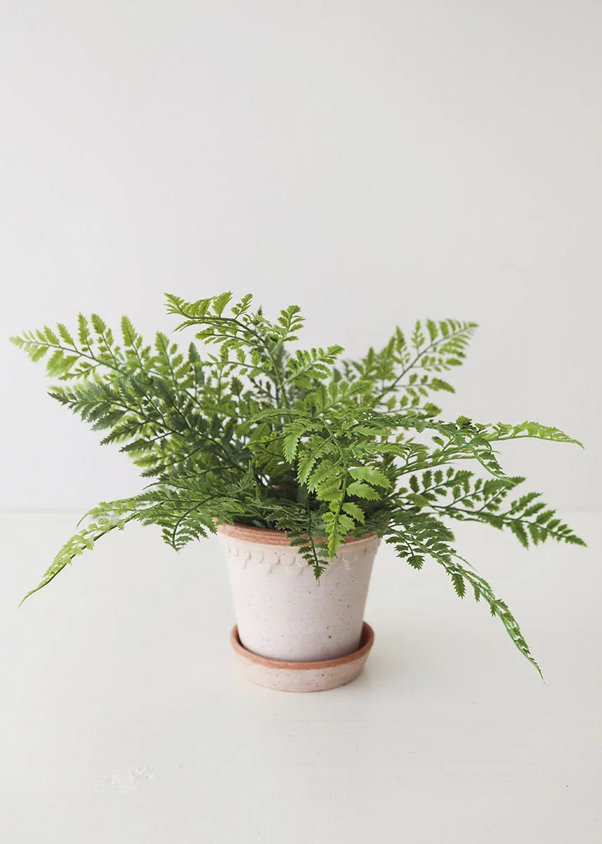 Fake Lace Fern UV Protected Real Touch Plant - 19"