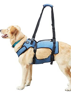 COODEO B Dog lift harness