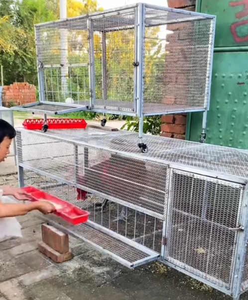 5db6b1e1c60e0880d70c54bb56f6ce5e