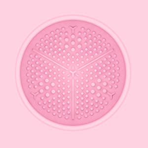 Wash Makeup Brush Cleaner