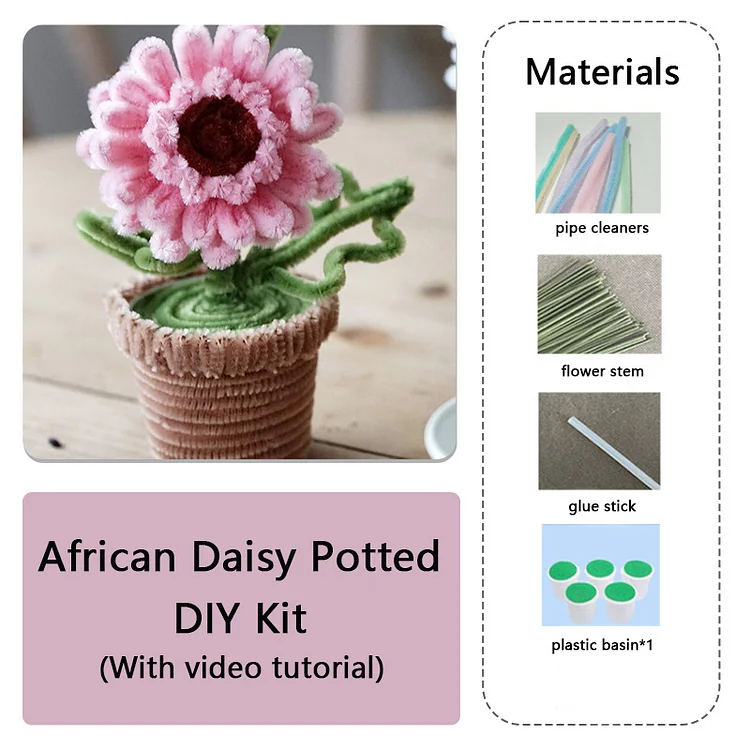 DIY Pipe Cleaners Kit - African Daisy Potted