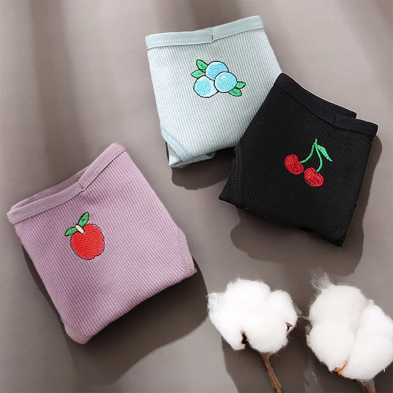 Cotton Panties Women Underwear Sexy Lingerie for Female Briefs Embroidery Pantys Underpants Intimates lenceria sensual mujer Hot
