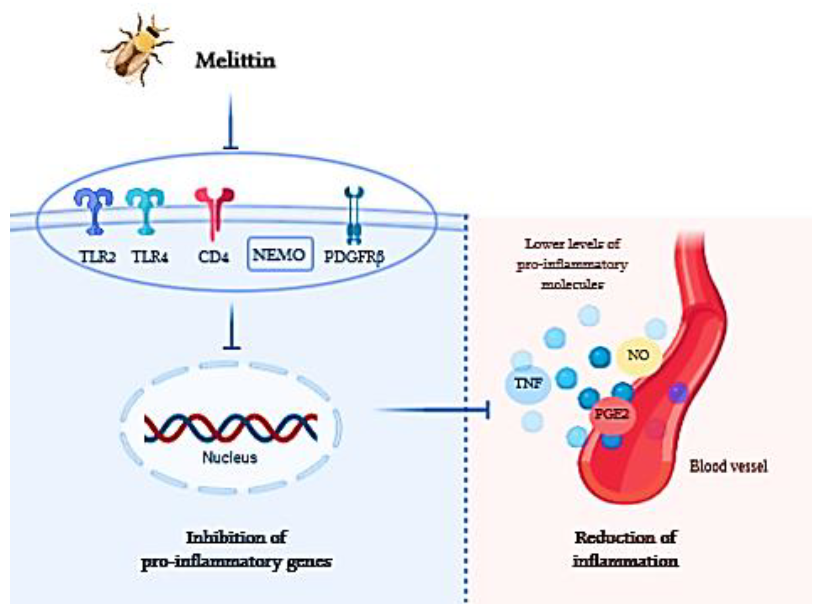 6482b6c41a471c8ae254ad82fa632e74