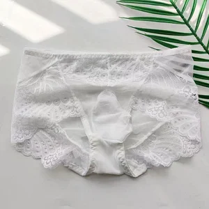 Men's lace sexy panties