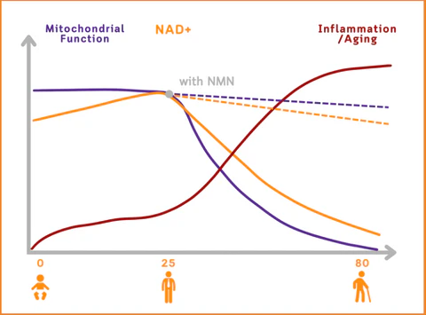 6a2c2b8767d4eac3e6efe9168a654fd8