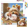 Diamond Painting -DIY Full Square Drill Dog Pig(45x45cm)
