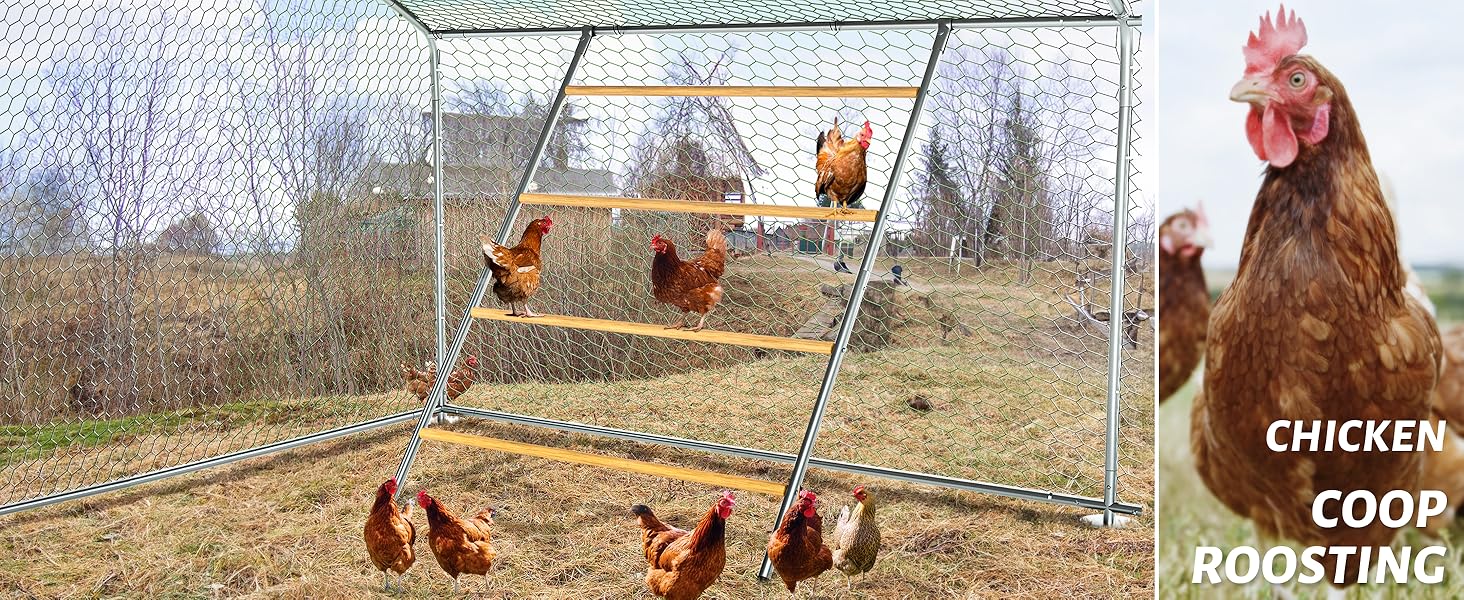 6ff877a5825db1fa29754ee69306778f