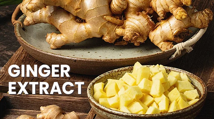 LIMETOW® Lip Plumper Kit image LIMETOW® Lip Plumper Kit