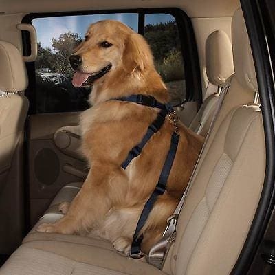 Premium Dog Seat Belt