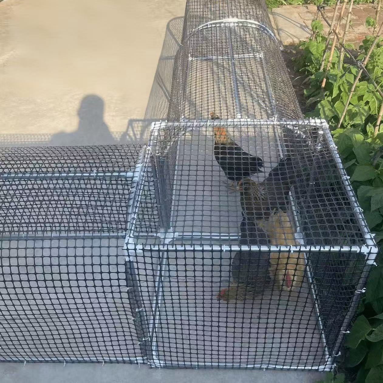 Chicken Coop Combo Kit, Spliced Chicken Tunnels Run 78cac01029811461c61870e07c7dc523