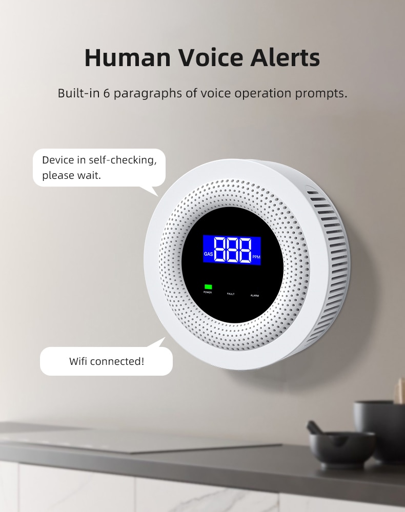 voice alert smart gas sensor