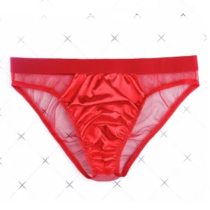 Men's Sexy Low Rise Mesh Bikini Briefs