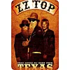 ZZ Top - Vintage Metal Signs - 20*30cm/30*40cm - Music