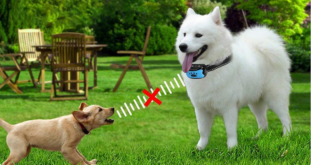 stop dog barking device