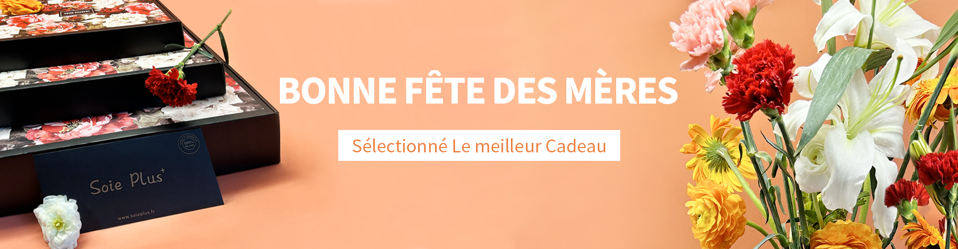 - SOIE PLUS