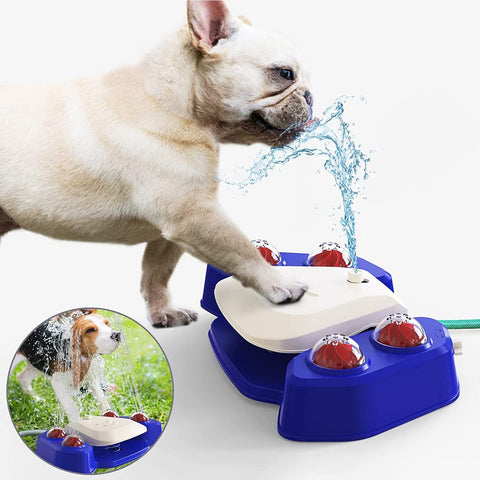 dog water fountain