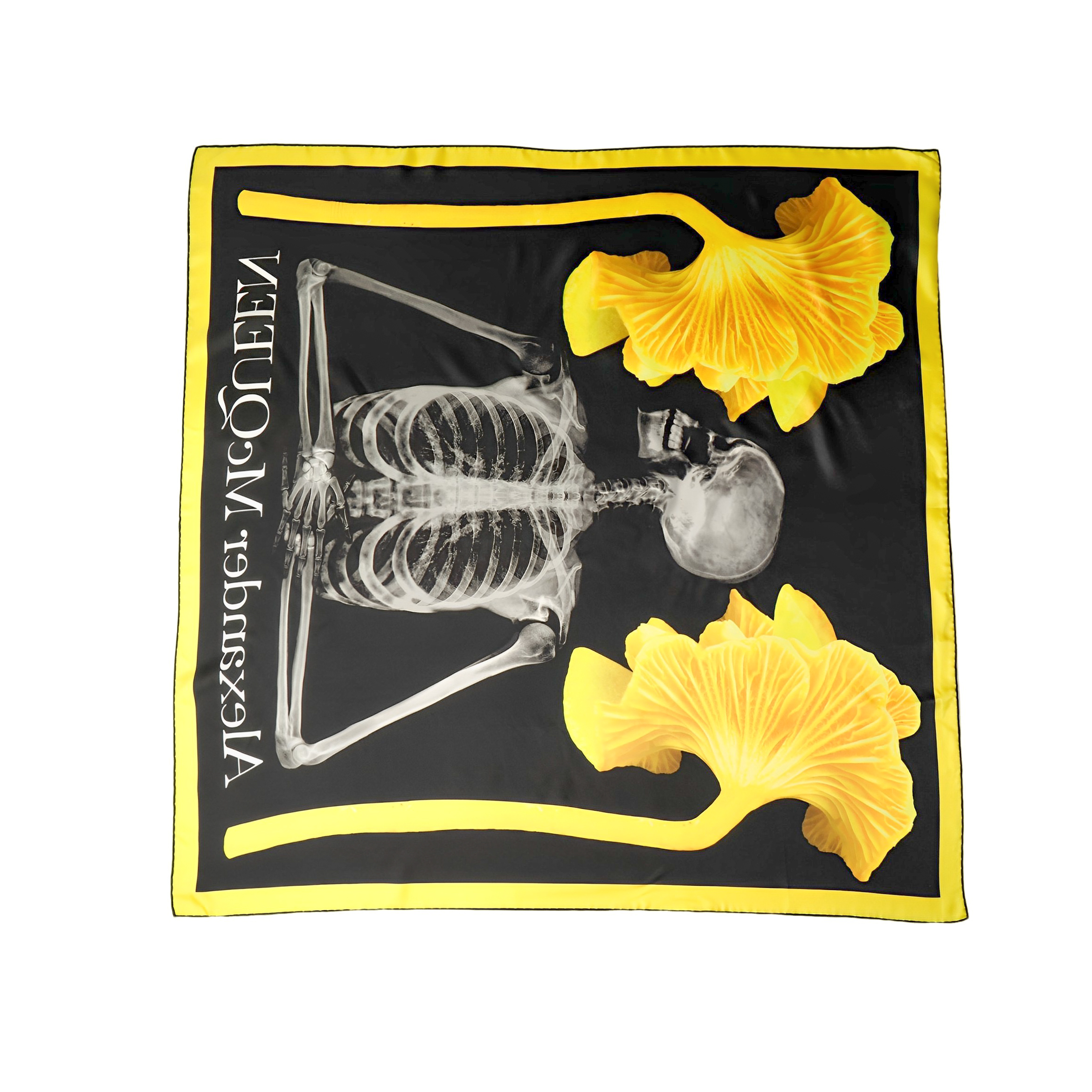 Alexander McQueen Silk Scarves Women's Black
