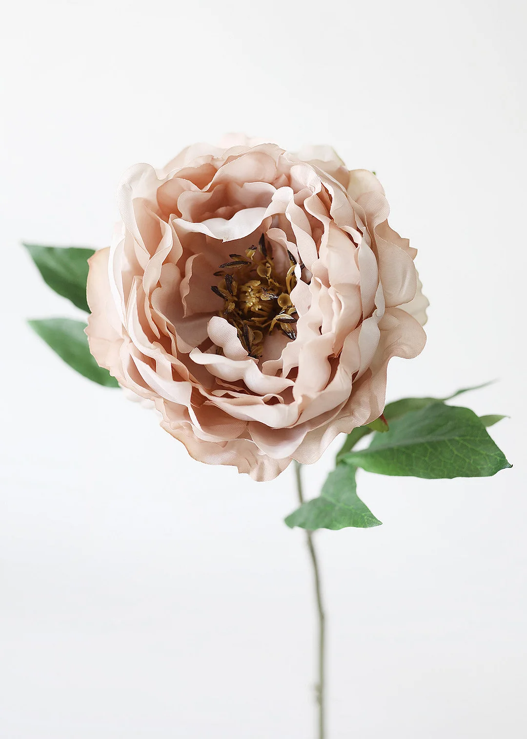 Silk Peony in Taupe Mauve - 18"