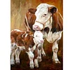 Diamond Painting-DIY Full Round Drill Cow