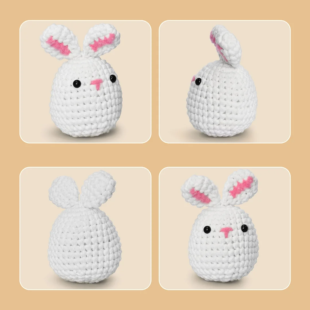 Coopay Crochet Kit for Beginners Kids Adults - Cute Penguin, Chicken,  Rabbit & Fox, Complete Crochet Set with 4 Different Crochet Patterns, DIY