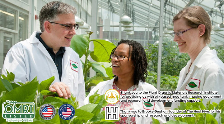 LIMETOW® Plant Resurrection Liquid image LIMETOW® Plant Resurrection Liquid