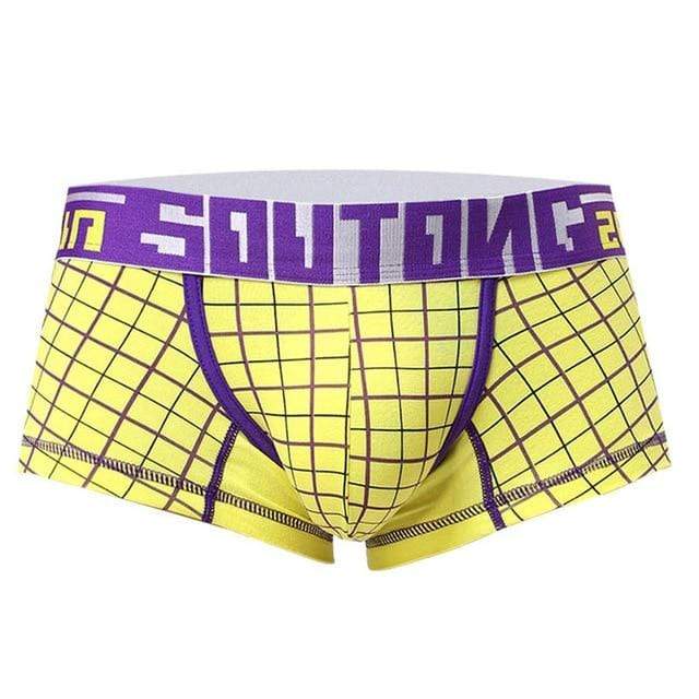 MODERN PLAID TRUNKS