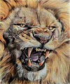 Fierce Lion | Full Square Diamond Painting Kits