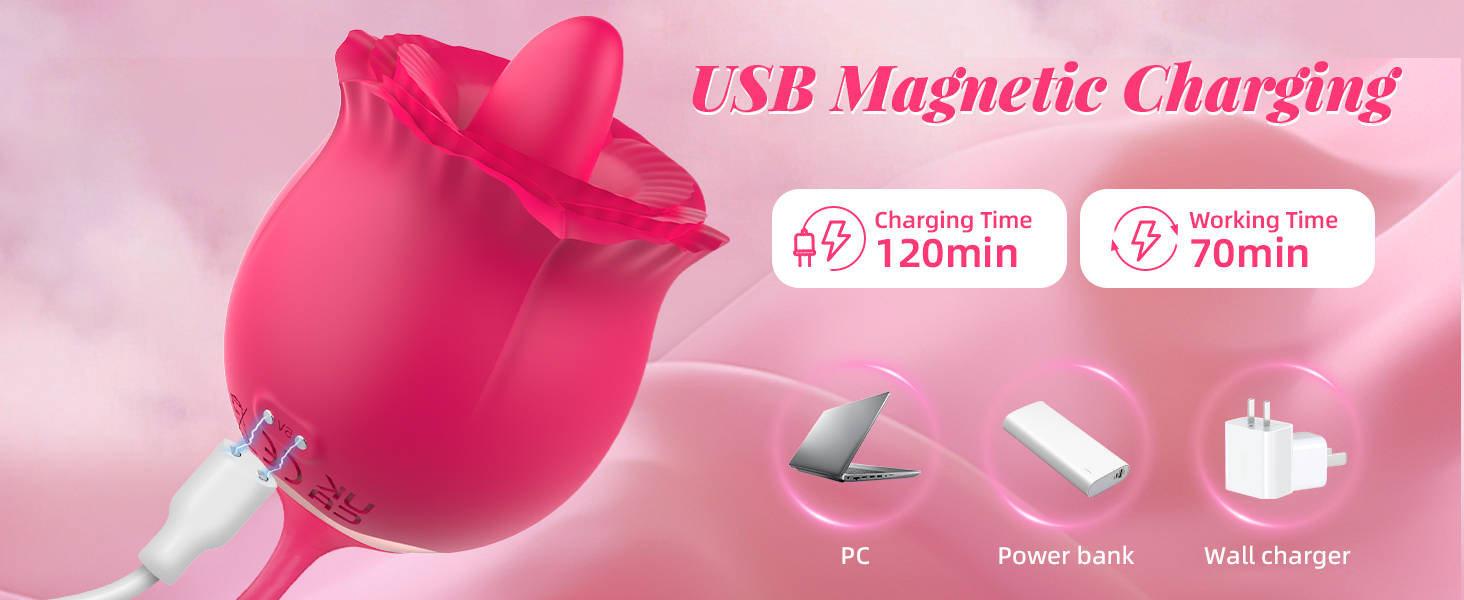 pearlsvibe 3 in 1 rose toy usb magnetic charging.jpg