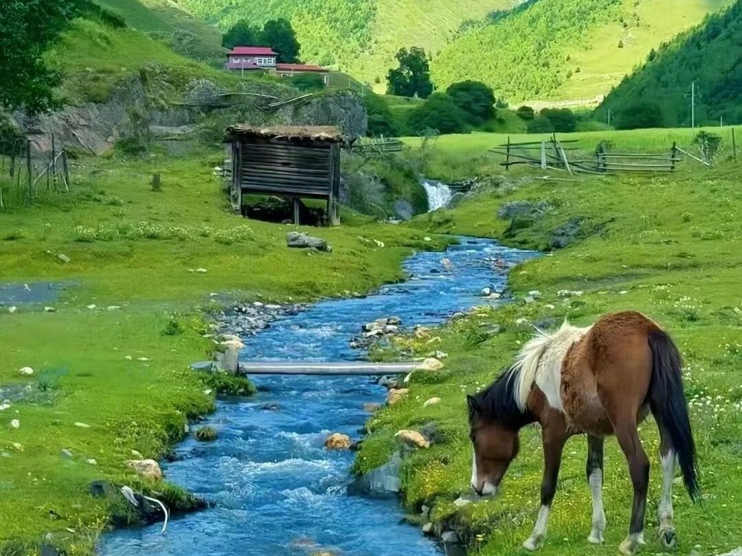 3-Day Jiuzhaigou, Huanglong & Grassland Adventure by High-Speed Train（Chinese-Speaking Group Tour）