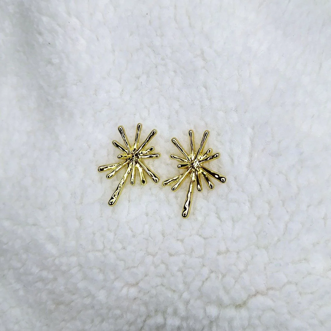 Earrings - AW7054