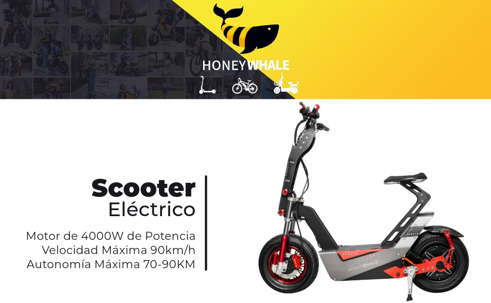 Moto Bicicleta Electrica para Adultos, Scooter Eléctrico de Movilidad con Alarma, Máxima Motor 680W