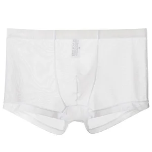 Men's sexy ultra-thin transparent mesh boxer briefs