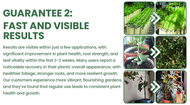 LIMETOW® Plant Resurrection Liquid image LIMETOW® Plant Resurrection Liquid