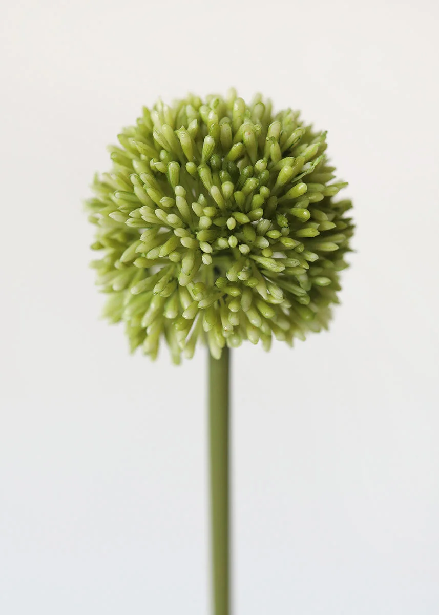 Faux Plastic Allium Flower - 21"