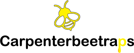 carpenterbeetraps