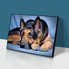 Diamond Painting -DIY Full Square Drill Lying Dog