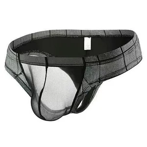 Ultra-Thin Mesh Panelled Shiny Bikini Briefs