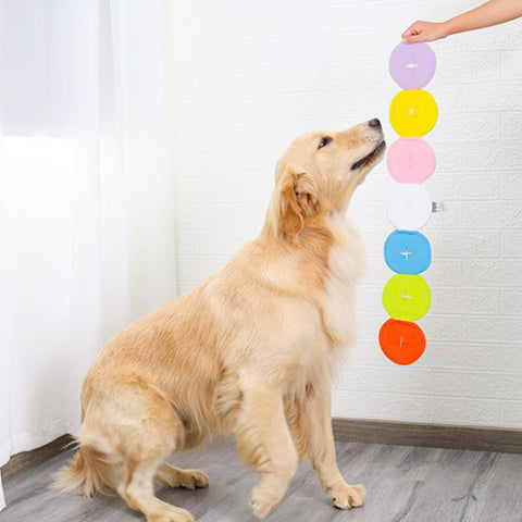 sniffing dog toys
