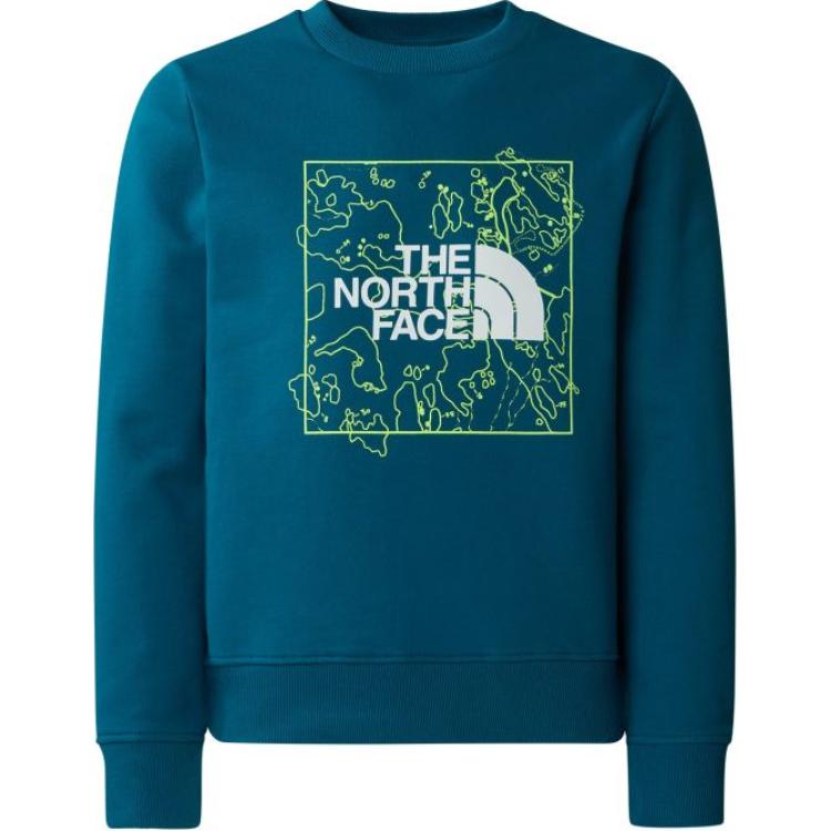 THE NORTH FACE Sweatshirt Blue Kids'
