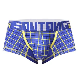 MODERN PLAID TRUNKS