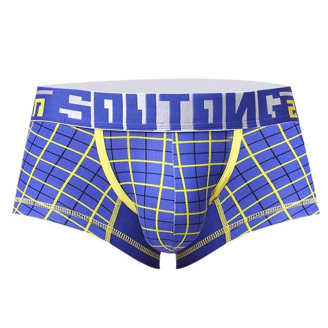 MODERN PLAID TRUNKS