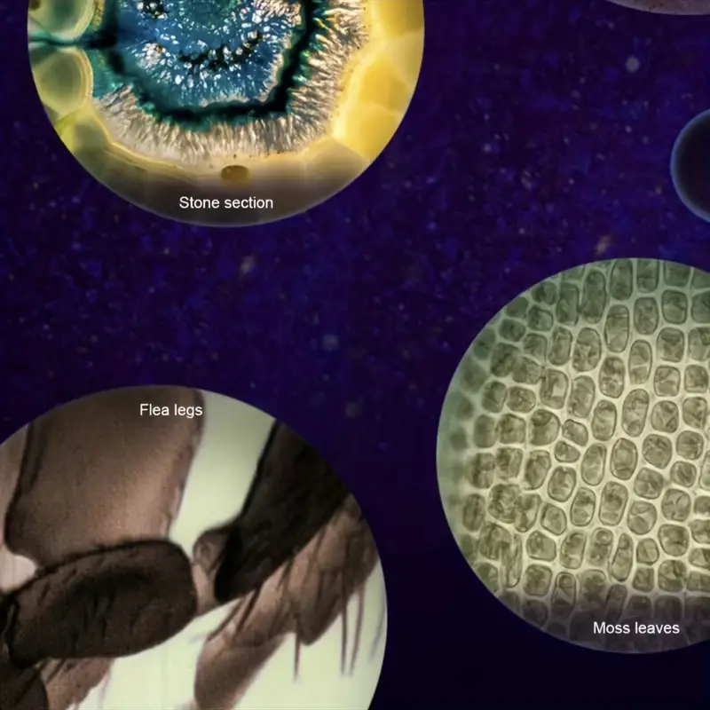 pocket microscope for kids portable handheld mini microscope toy kids microscope with led light 60x 120x details 5