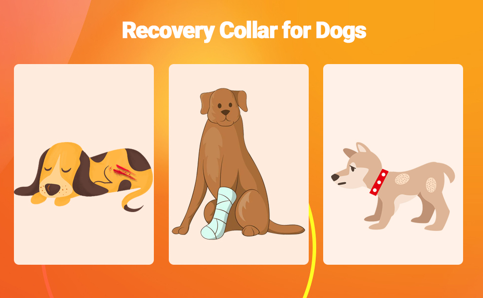 recovery collar