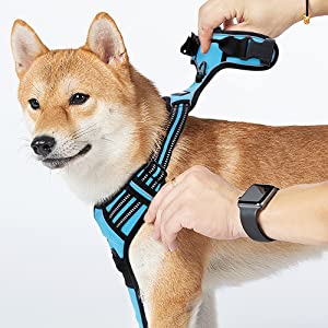 rabbitgoo Dog Harness, No-Pull Pet Harness with 2 Leash Clips, Adjustable Soft Padded Dog Vest