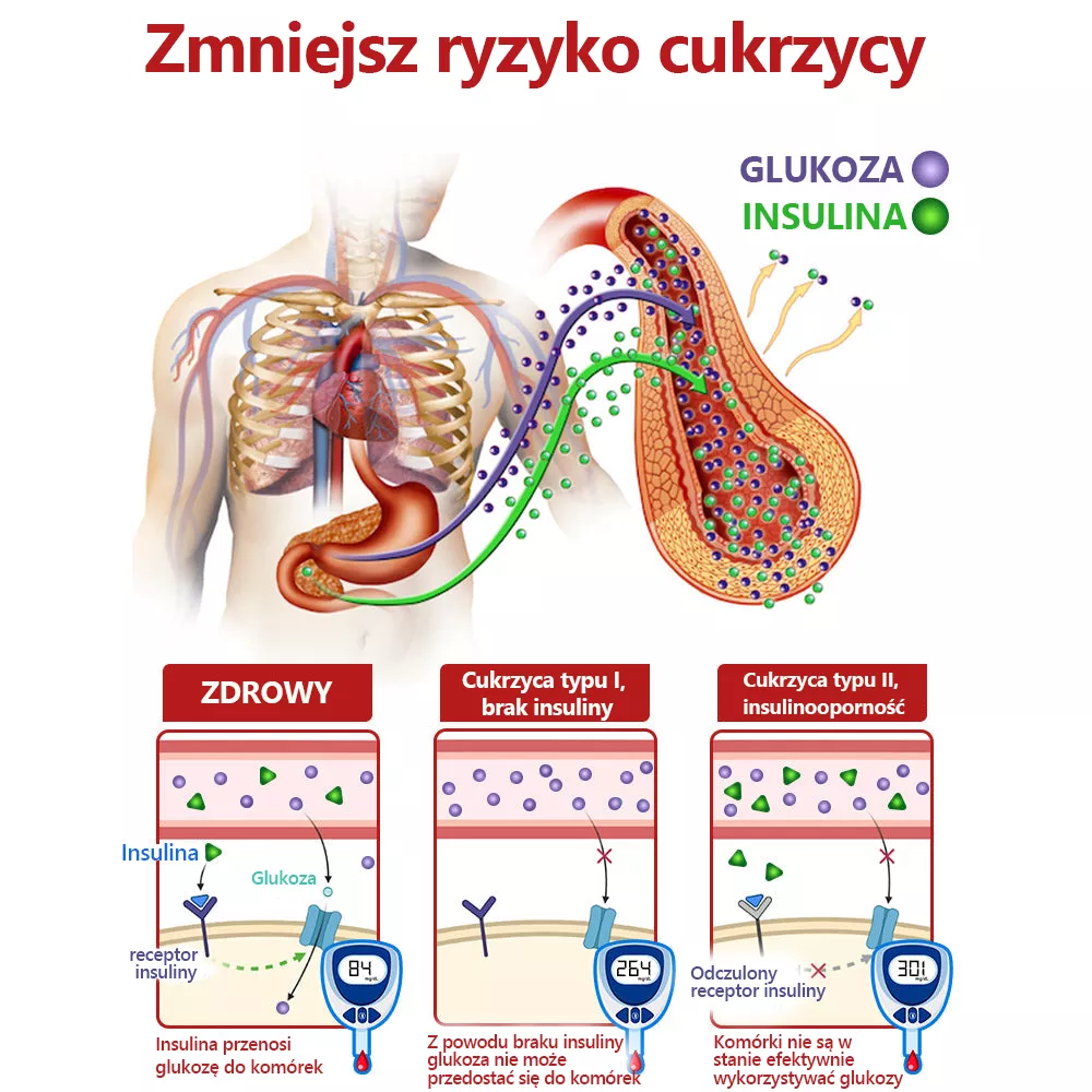 2024 New nebulizer for blood sugar control