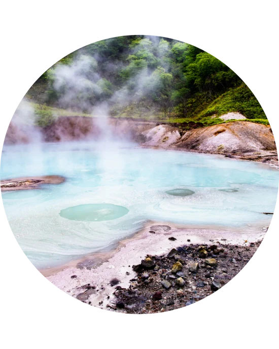 Sulphur Spring Extract