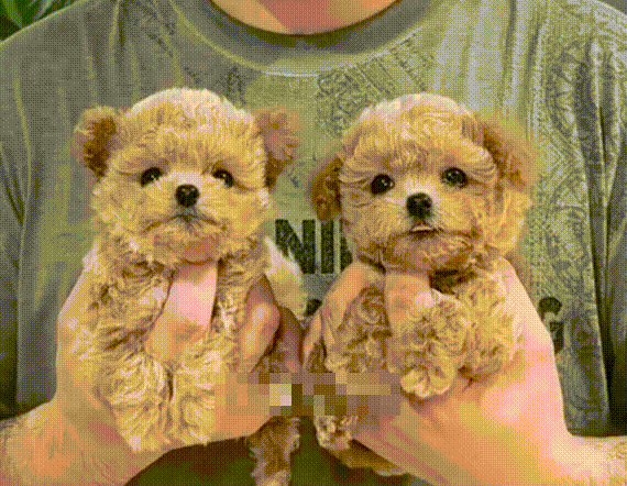 B32250b693d2f476cdfefb9fd9dbcfbf