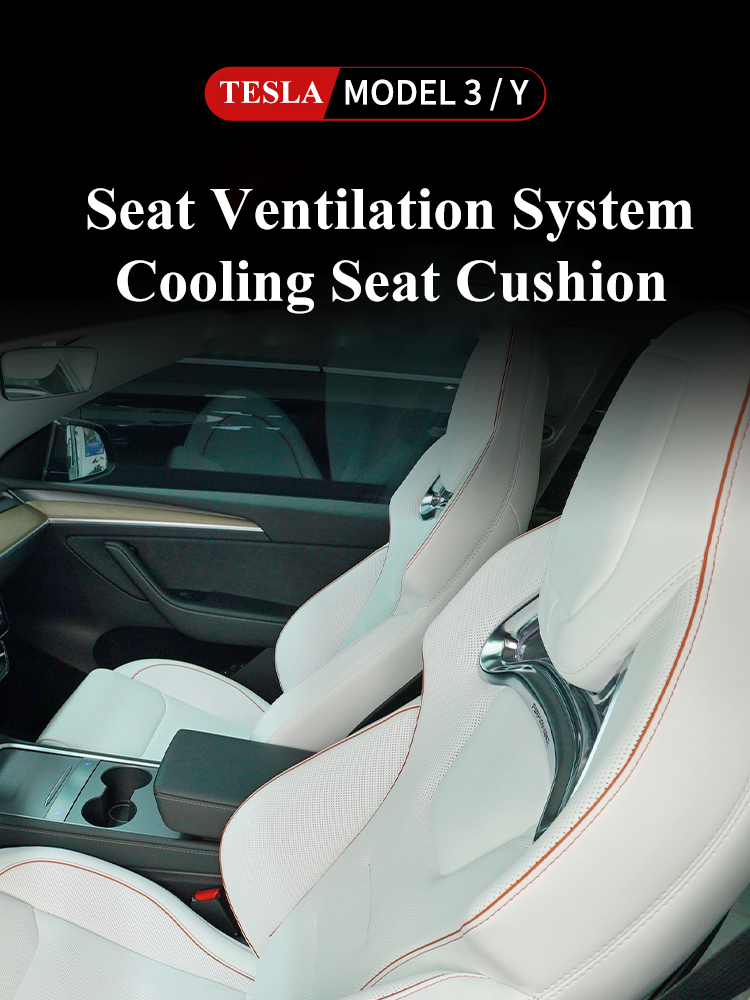 Model 3 2025 cooled seats